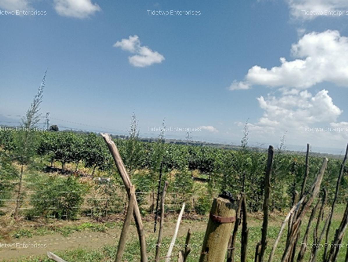 Land in Naivasha - 3