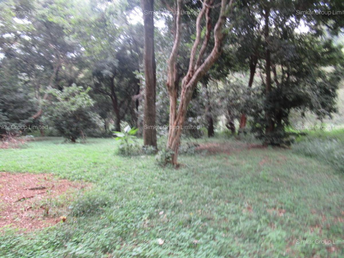4 ac Land at Mushroom Gardens - 11