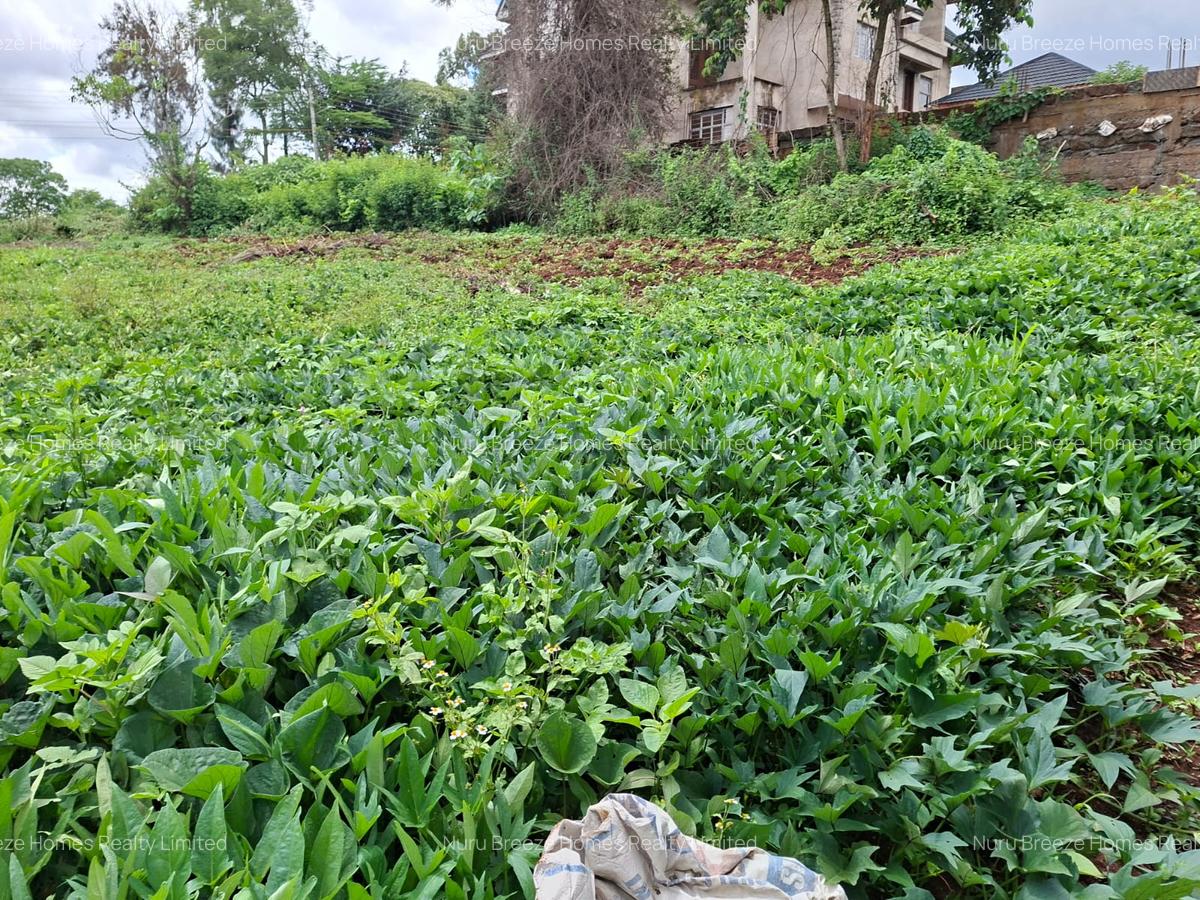 0.25 ac Land in Runda - 8