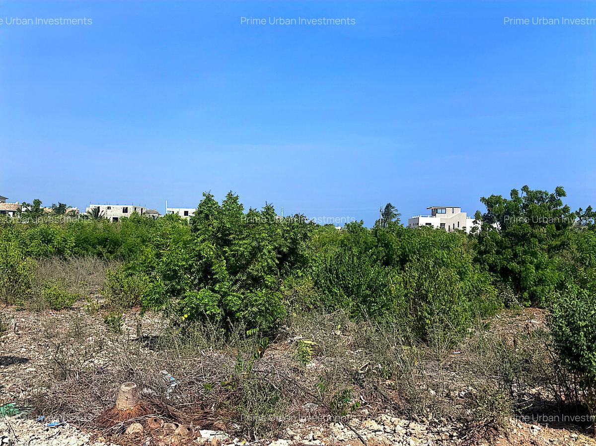 900 m² Land at Watamu 3Rd Row Beach - 9