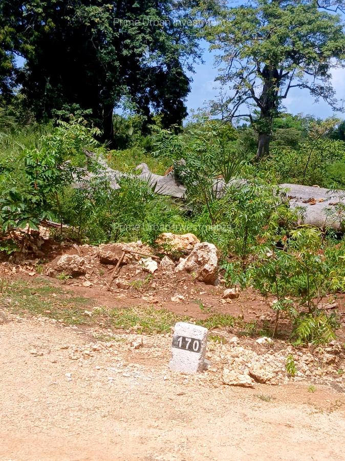 1,000 m² Residential Land at Vipingo - Kuruwitu - 1