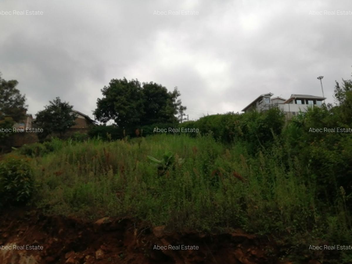 0.3 ac Residential Land at Kikuyu Road - 4