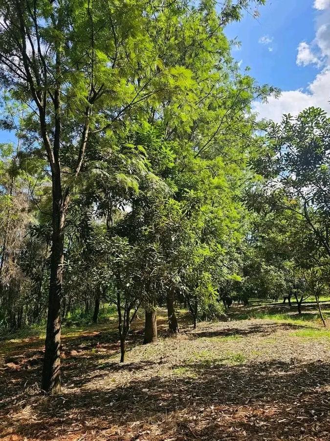 50 ft² Residential Land at Juja - 12