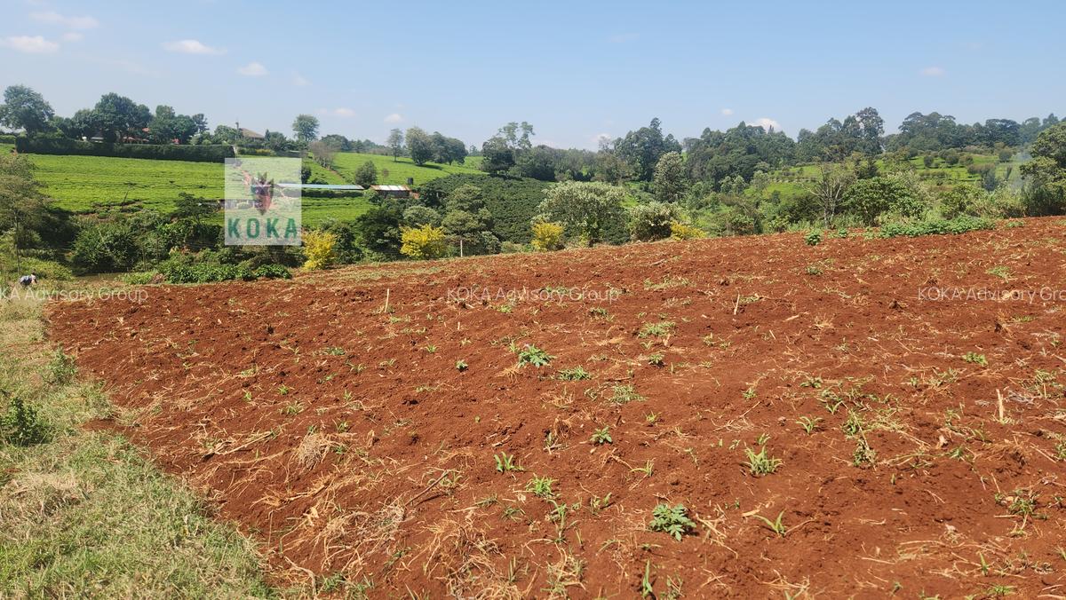 0.75 ac Land in Tigoni - 5