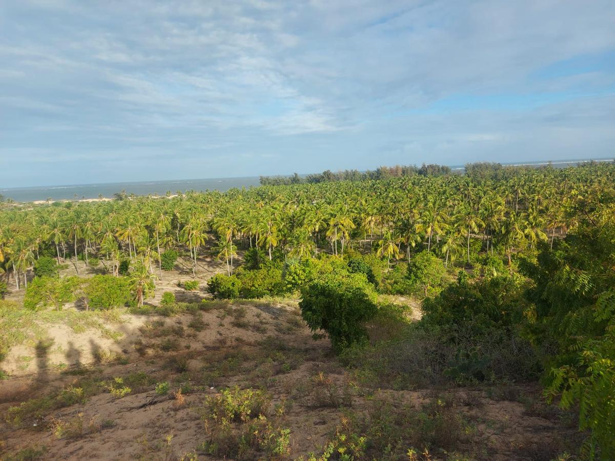 0.05 ha Land at Gede Palms Estate - 4