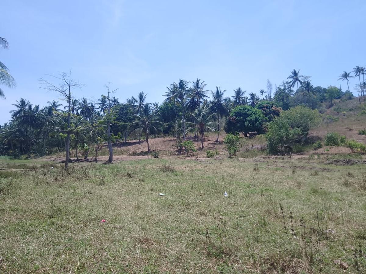 90 ac Land at Ridge - 6