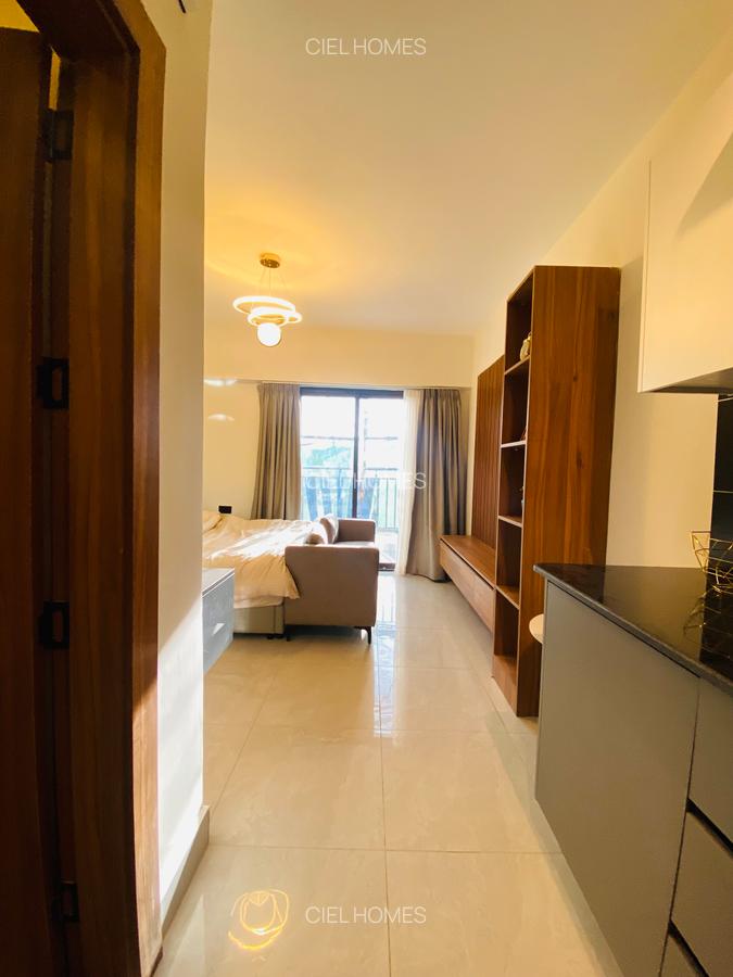 Studio Apartment with En Suite at Chadi Road - 5