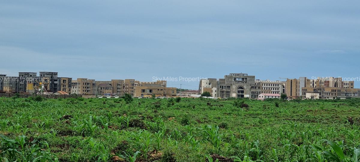 5 ac Land at Vipingo - 3