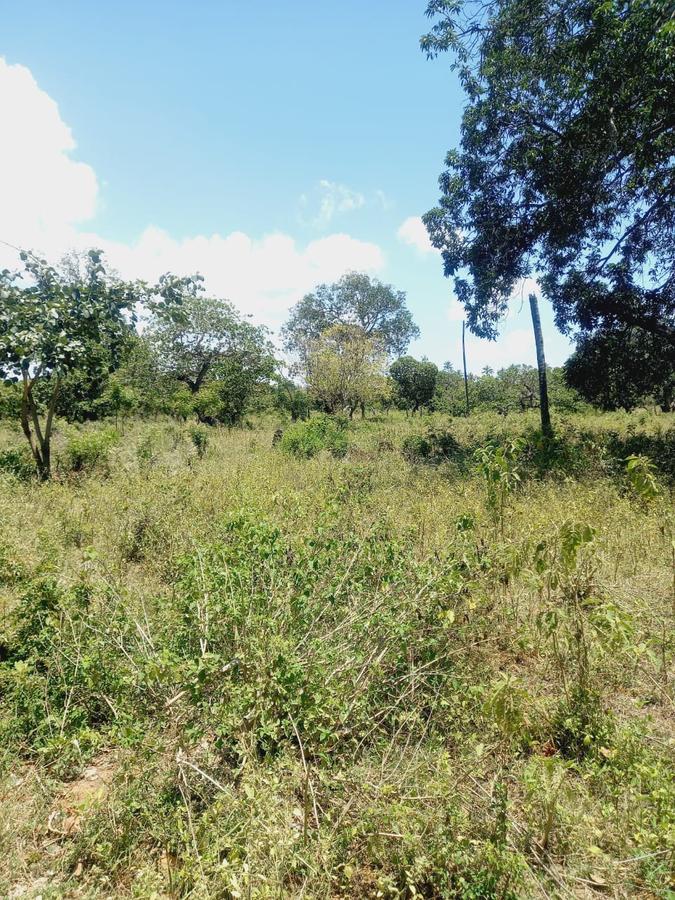 40 ac Residential Land in Kilifi - 2