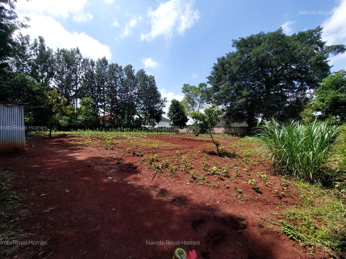 Residential Land at Kirawa Road - 13