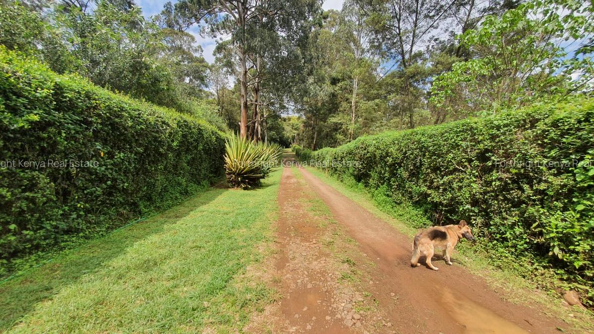 5 ac Land at Miotoni - 3