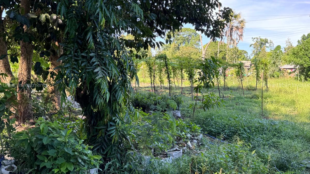 2 ac Land at Mtwapa - Animo - 12