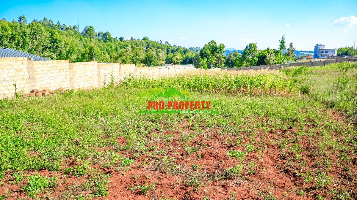 0.05 ha Residential Land at Ondiri - 6
