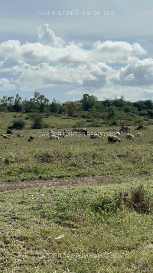 Land in Mombasa Road - 15