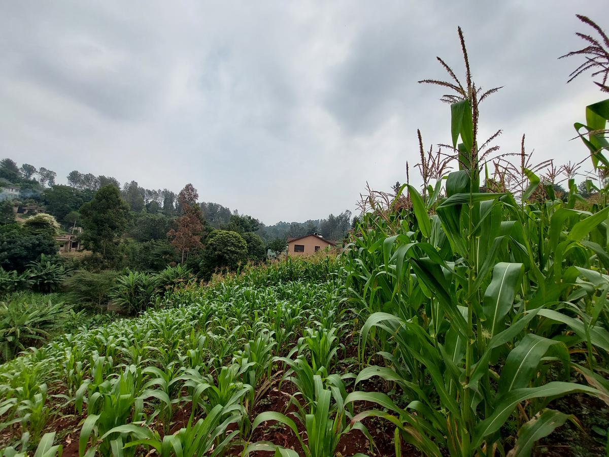 Residential Land at Kitisuru Ridge 44 - 18