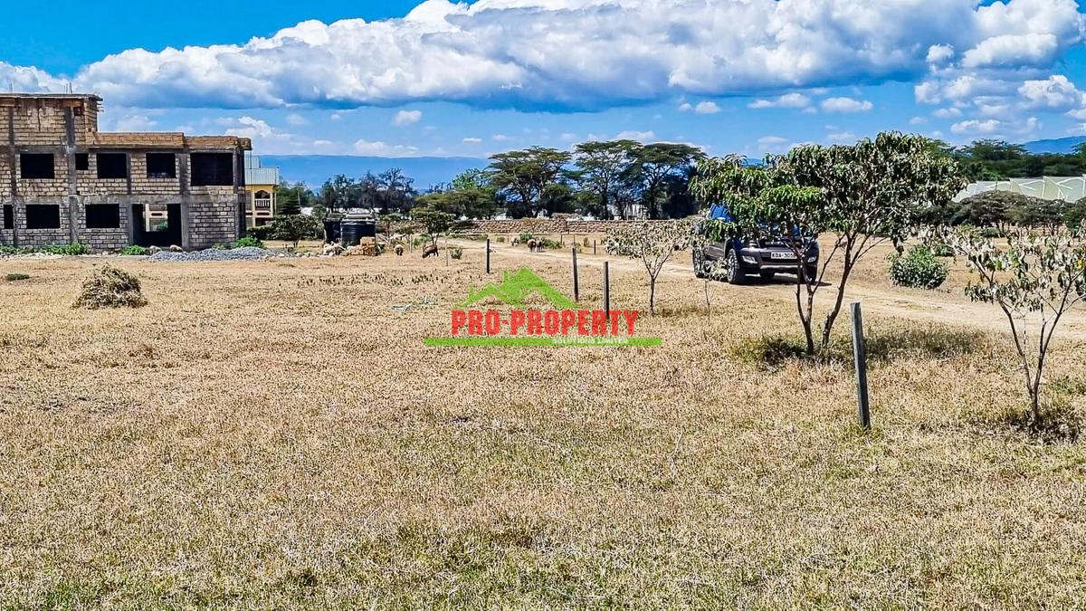 0.05 ha Residential Land in Naivasha - 6