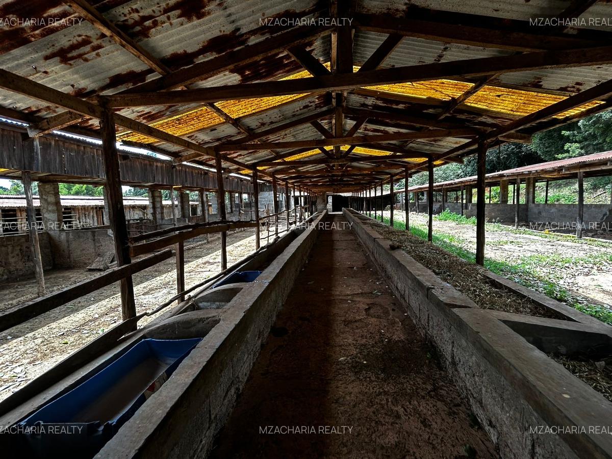 6.39 ac Land in Tigoni - 5