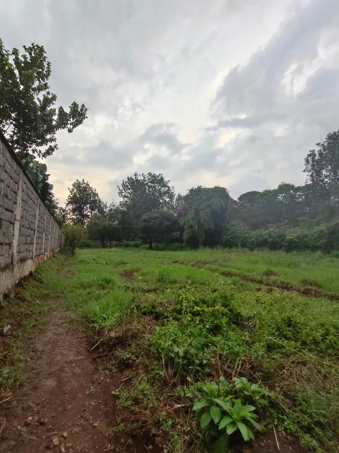 Residential Land at Ndege Road - 18