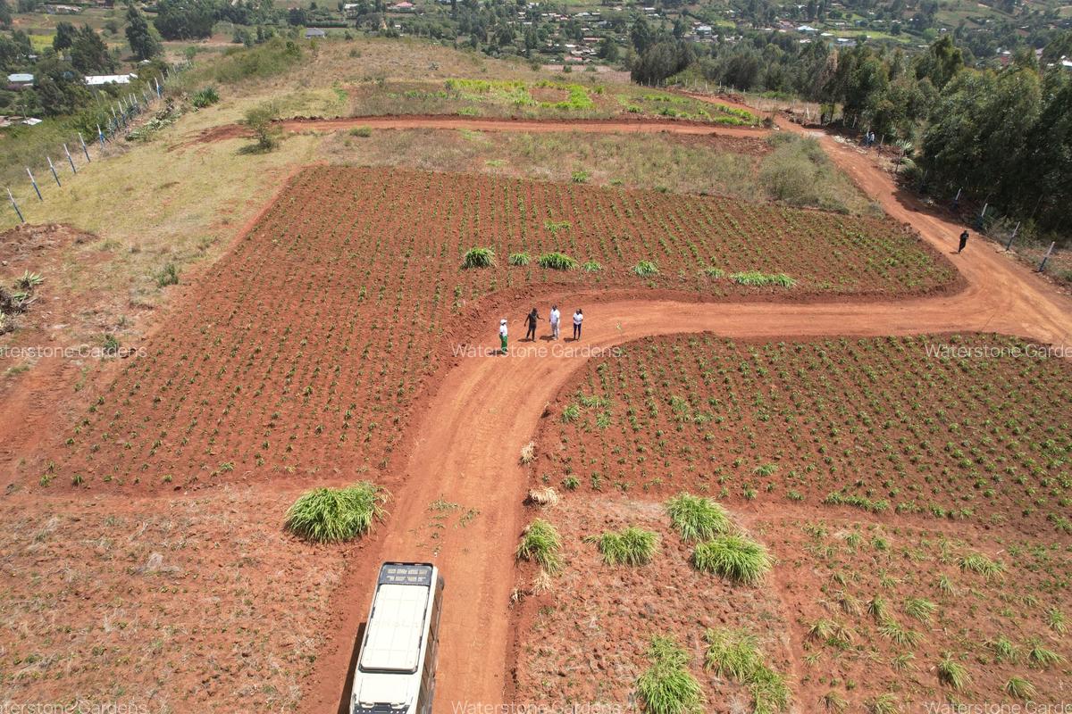 0.05 ft² Residential Land at Thigio - 6