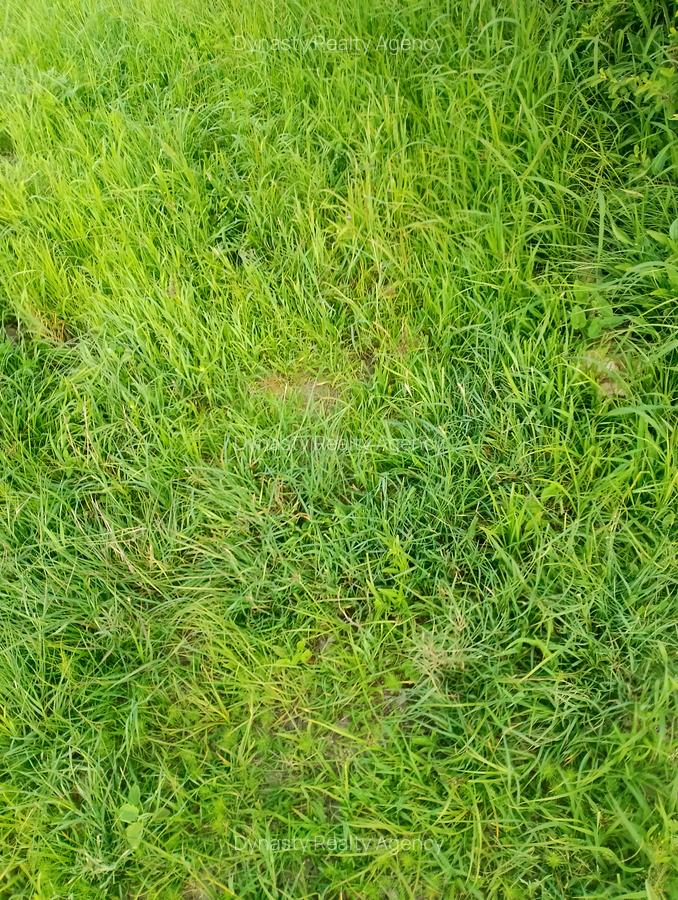 Land at Mutungoni Road - 2