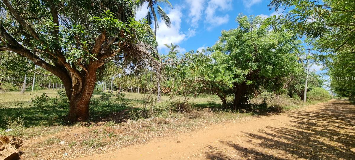 6 ac Land at Mtwapa - 4