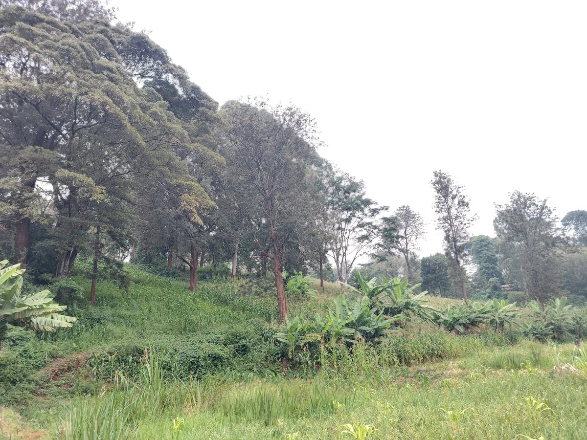 Residential Land at Kitisuru Ridge 44 - 7