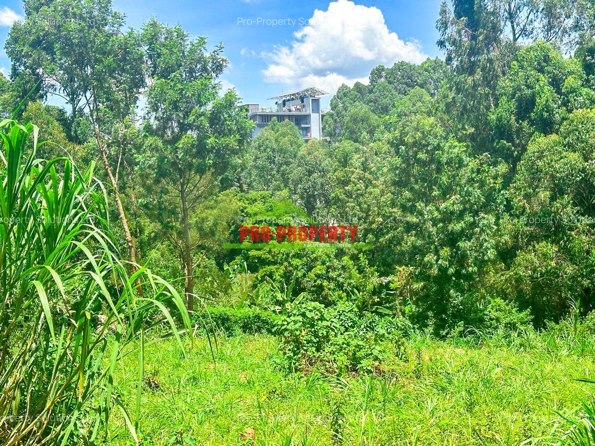 0.1 ha Commercial Land at Mwimuto - 4