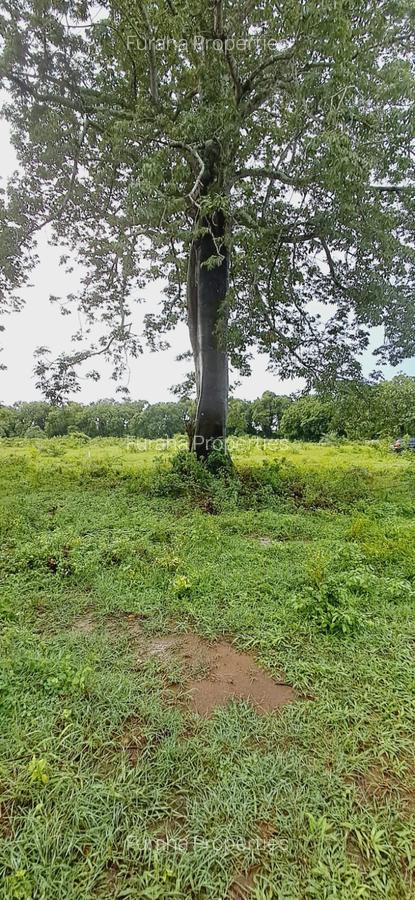 Land in Vipingo - 15