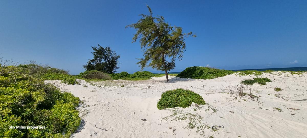 50 ac Land at Kilifi - 7