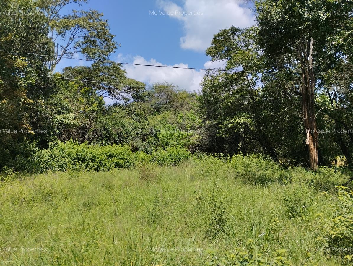 100 ac Land at Thika Road - 1