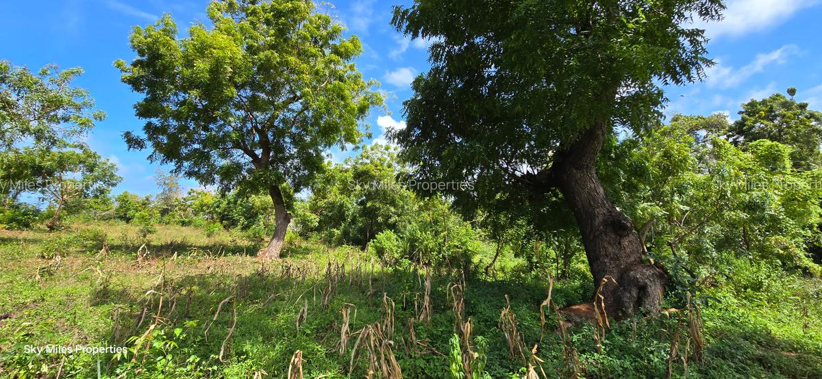 7 ac Land at Kikambala - 10