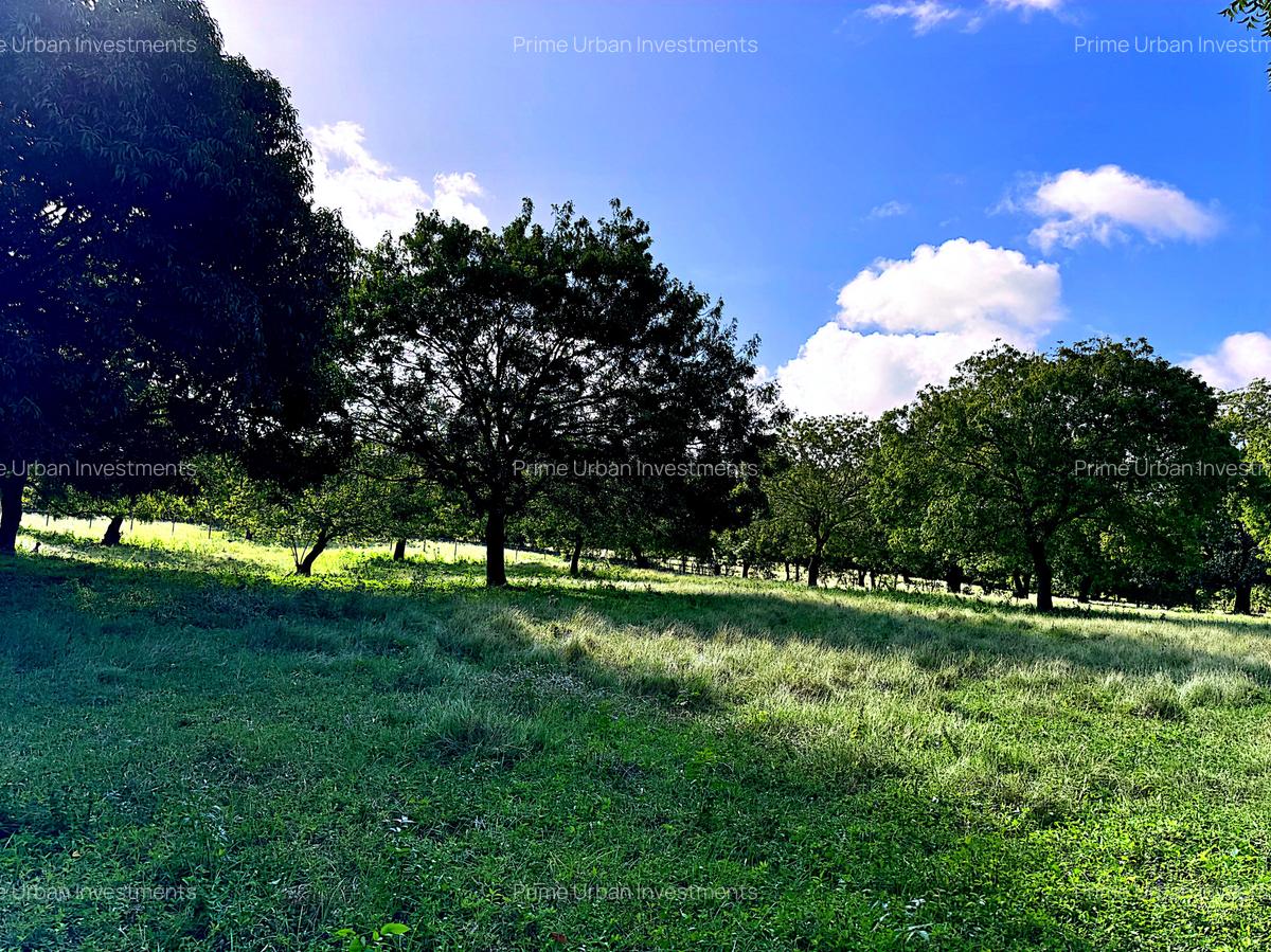 167.5 ac Land at Kuruwitu Beach - 10