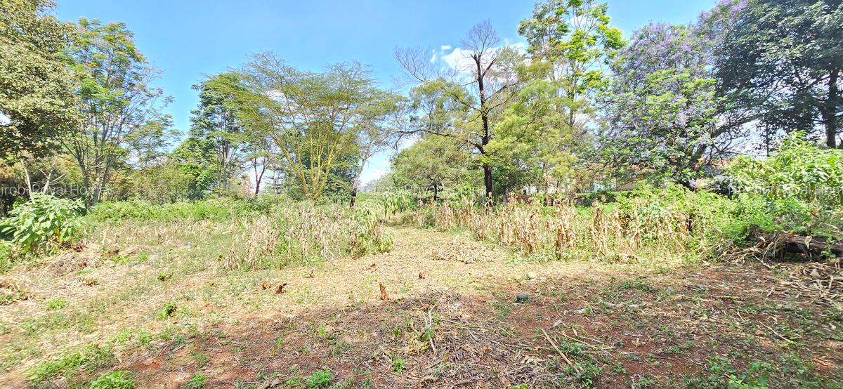 Residential Land at Spring Valley Lower Kabete - 11