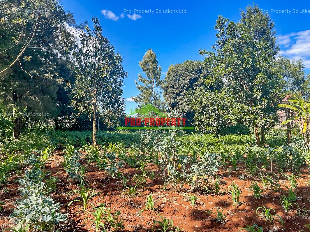 0.06 ha Commercial Land at Thogoto - 3