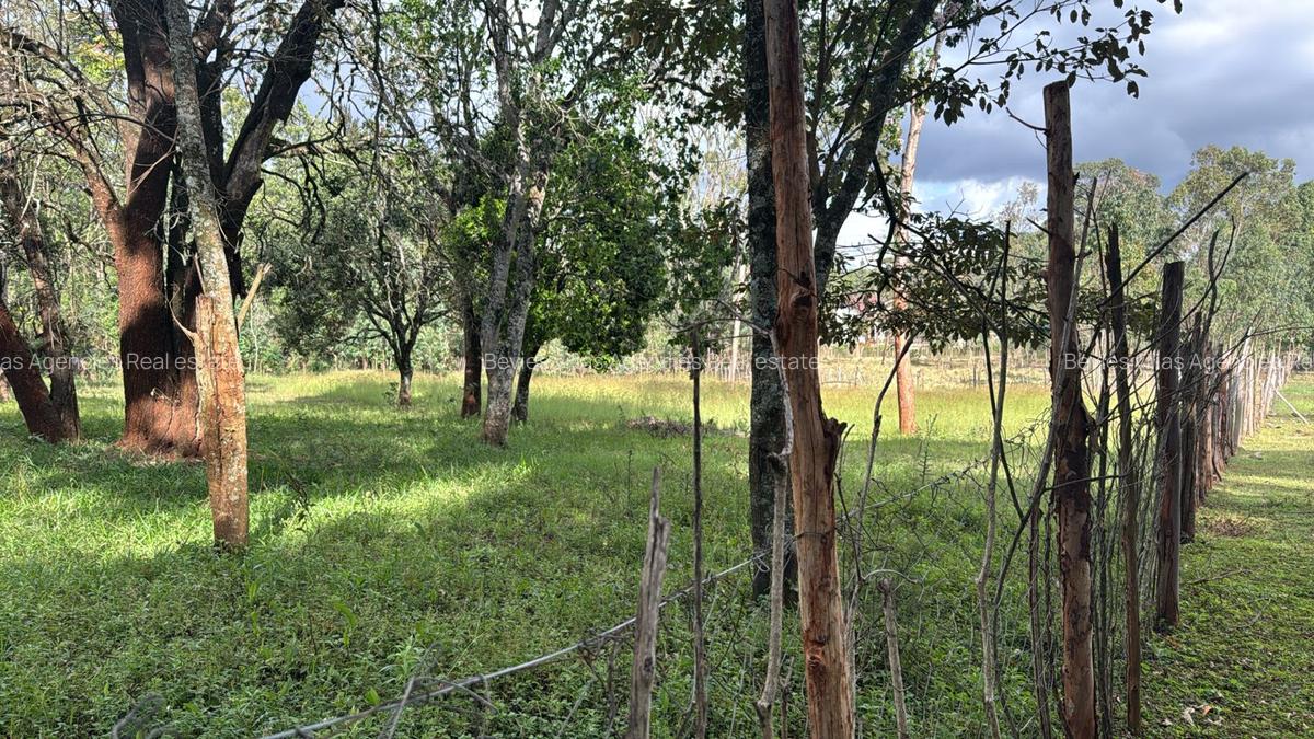 Residential Land at Karen - 3