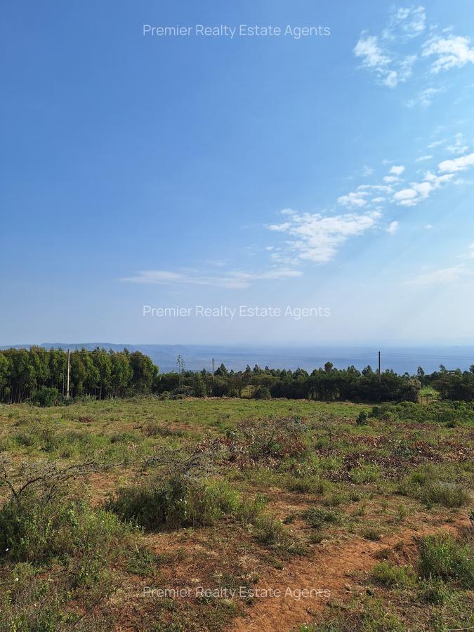 0.125 ac Residential Land at Ndeiya - 10