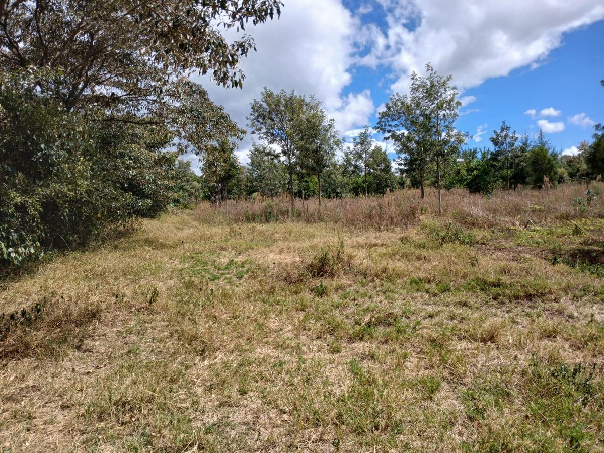 7 ac Land at Naivasha-Nakuru Highway - 6