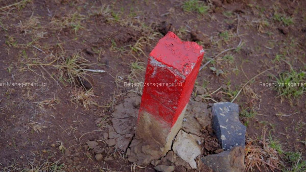 0.25 ac Land at Off Namanga Road - 9