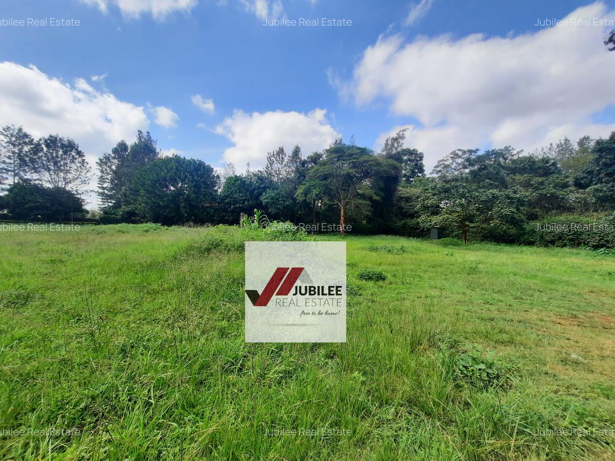 8,094 m² Commercial Land in Kitisuru - 4