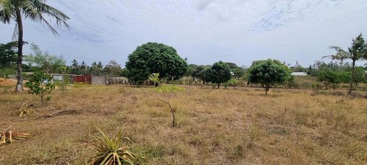 500 m² Land at Retreat - 7