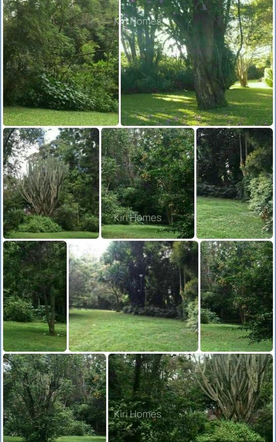 Land at Windy Ridge - 1