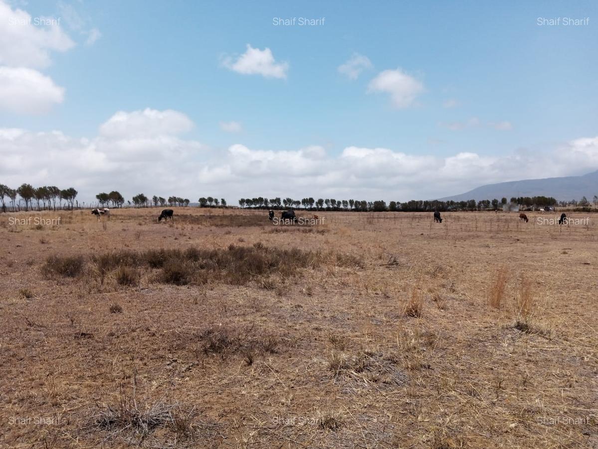 6 ac Land in Naivasha - 6