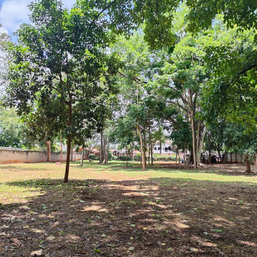 1 ac Land at Thigiri Ridge - 11