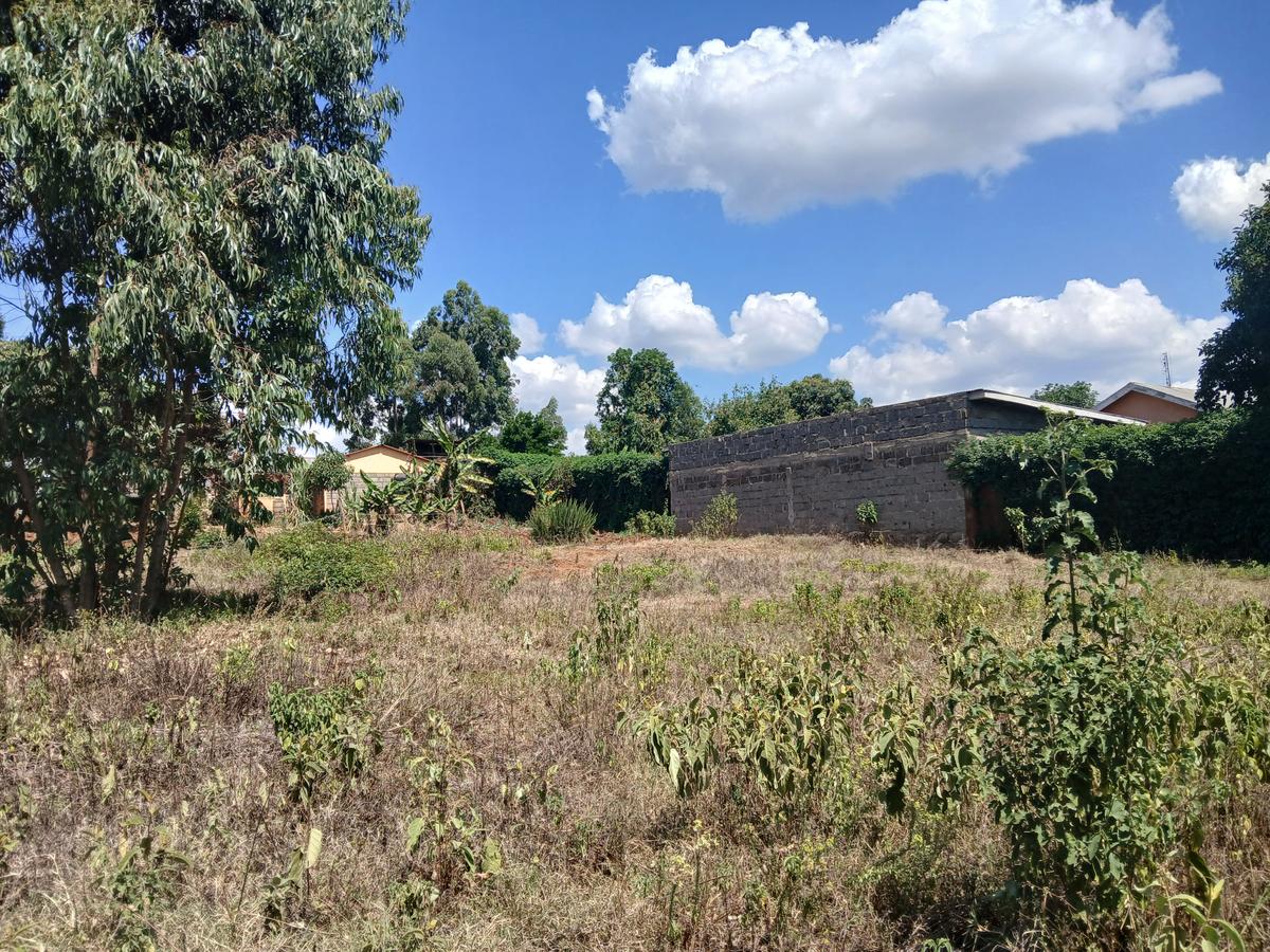 Commercial Land at Lusingetti - 2