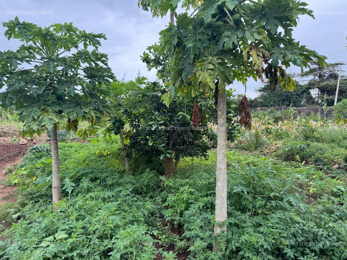 3.8 ac Land in Vipingo - 14