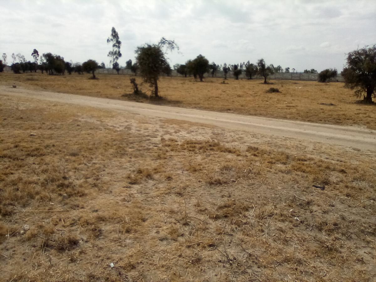 Land at Namanga Rd - 11