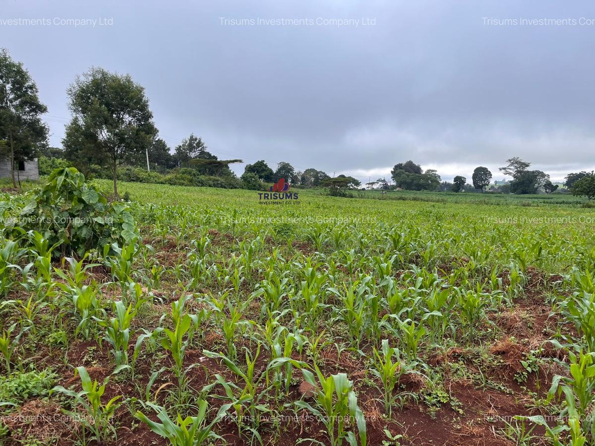 3.7 ac Land at Kiambu - 7