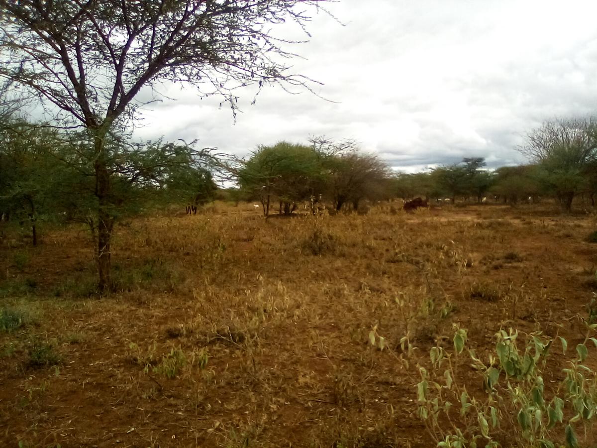 Land at Namanga Rd - 7