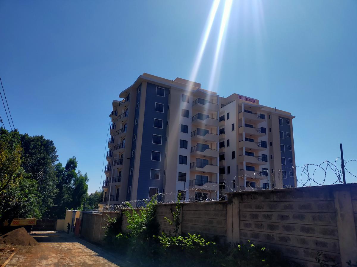 4 Bed Apartment with En Suite in Ruaka - 20