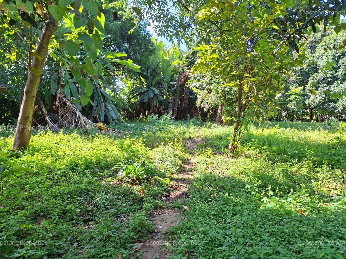 Residential Land at Runda - 6